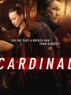 冰血緝兇第三季