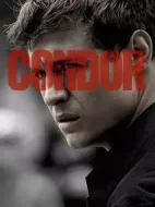 禿鷹第二季劇情介紹(1-10全集)