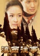 滇西往事劇情介紹(1-20全集)