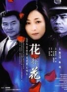 花非花劇情介紹(1-21全集)