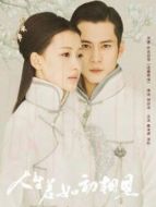 人生若如初相見(jiàn)速看版