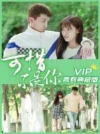 可惜不是你 越南語版