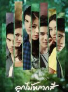 變色的水果劇情介紹(1-14全集)