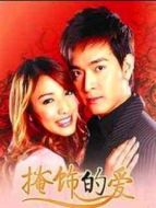 掩飾的愛劇情介紹(1-12全集)