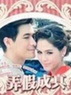 我親愛的冒牌老公劇情介紹(1-14全集)