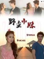 網(wǎng)絡小妹劇情介紹(1-20全集)