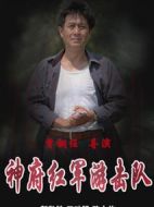 神府紅軍游擊隊劇情介紹(1-20全集)