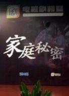 家庭秘密劇情介紹(1-48全集)
