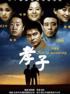 孝子劇情介紹(1-36全集)