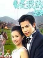 你是我的老婆劇情介紹(1-17全集)