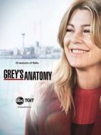 實(shí)習(xí)醫(yī)生格蕾第十五季劇情介紹(1-9全集)