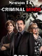 犯罪心理第十四季劇情介紹(1-15全集)