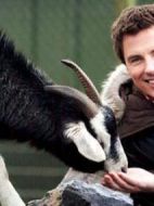 動物打工記劇情介紹(1-13全集)