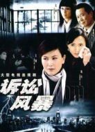 婚姻訴訟劇情介紹(1-24全集)