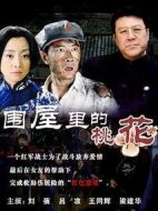 圍屋里的桃花劇情介紹(1-23全集)