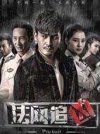 法網(wǎng)追兇第一季劇情介紹(1-12全集)