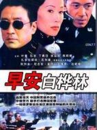 早安白樺林劇情介紹(1-20全集)