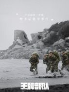 王牌部隊劇情介紹（1-40全集）大結(jié)局