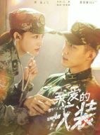 愛上特種兵劇情介紹（1-40全集）大結(jié)局