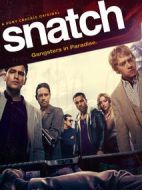 偷拐搶騙第二季海報