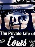 家禽家畜的私生活劇情介紹(1-3全集)