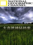 大自然神秘檔案