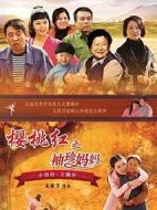 櫻桃紅之袖珍媽媽劇情介紹(1-37全集)