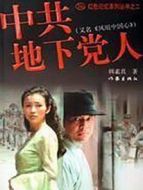 風(fēng)雨中國心劇情介紹(1-20全集)