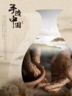 手造中國劇情介紹(1-5全集)