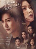 吹落的樹葉劇情介紹(1-21全集)