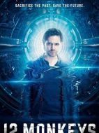 十二猴子第四季