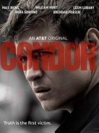 禿鷹第一季劇情介紹(1-10全集)