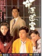 命運(yùn)迷宮劇情介紹(1-15全集)