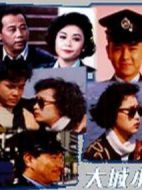 大城小警劇情介紹(1-20全集)