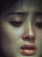 獅子山下：煙火人間劇情介紹(1-2全集)