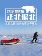 正北偏北劇情介紹(1-6全集)