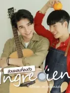 愛情原料劇情介紹(1-10全集)