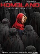 國土安全第四季劇情介紹(1-12全集)