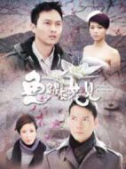 魚躍在花見劇情介紹(1-20全集)