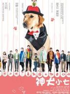神犬小七第一季劇情介紹(1-38全集)
