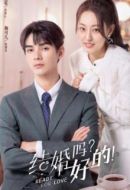 結(jié)婚嗎？好的！劇情介紹(1-30全集)
