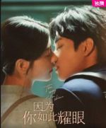 因?yàn)槟闳绱艘蹌∏榻榻B(1-24全集)