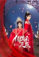 佳偶自天成劇情介紹(1-26全集)