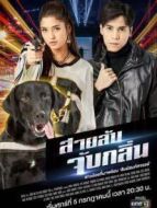 偵探K9普通話版劇情介紹(1-17全集)