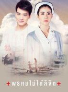 命中不注定劇情介紹(1-54全集)