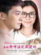 泰版命中注定我愛你劇情介紹(1-34全集)