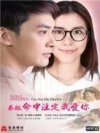 命中注定我愛你 泰語版