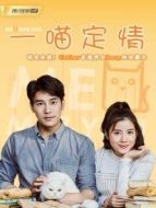 一喵定情[普通話版]劇情介紹(1-20全集)
