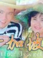 人海孤鴻劇情介紹(1-20全集)