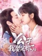 請叫我烏雅氏劇情介紹(1-20全集)